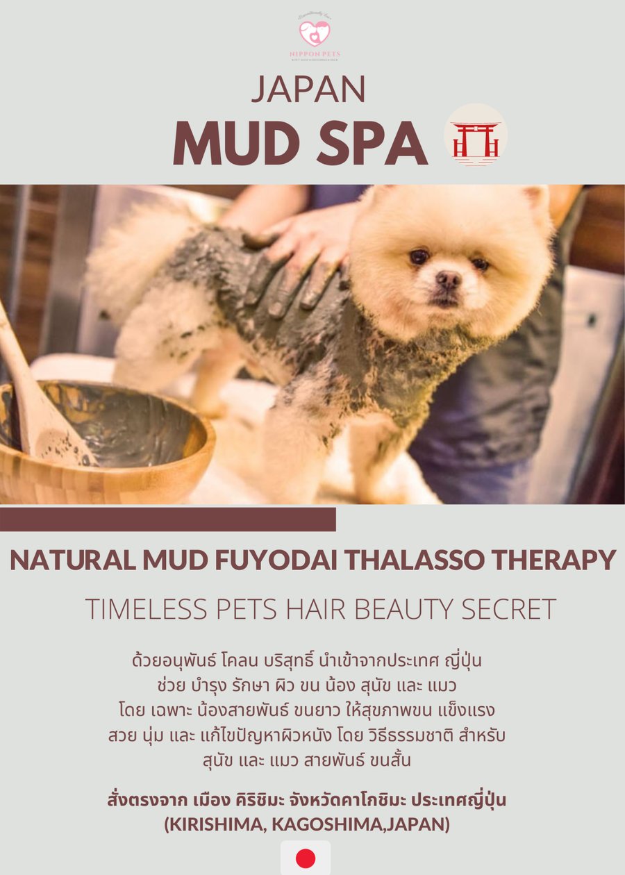 สุนัขกำลังพอกโคลนญี่ปุ่นระหว่างทำ Japan Mud Spa — Nippon Pets นนทบุรี